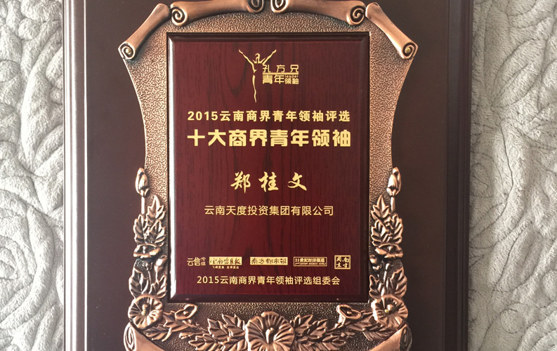 在“互联网大时代”的背景下，芒果体育作为本土很大和很有名的互联网服务企业，为近万家传统企业转型互联网+提供了服务和帮助，获此奖项后，芒果体育将再接再厉，创造更高的社会价值